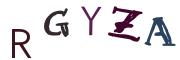 圖片的 CAPTCHA