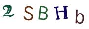 圖片的 CAPTCHA