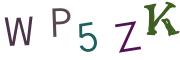 圖片的 CAPTCHA